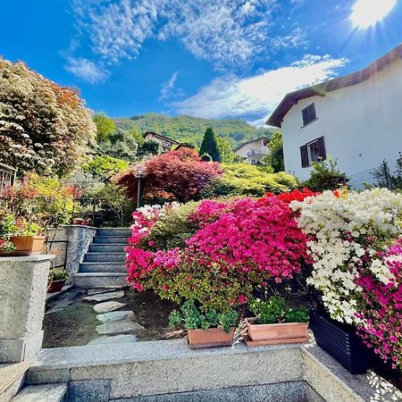 Eden Sul Lago Di Como 内索 外观 照片