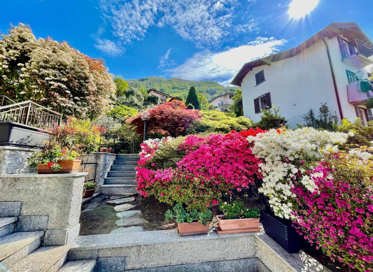 Eden Sul Lago Di Como 内索 外观 照片