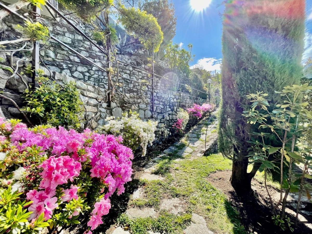 Eden Sul Lago Di Como 内索 外观 照片