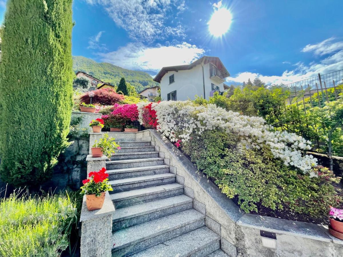 Eden Sul Lago Di Como 内索 外观 照片