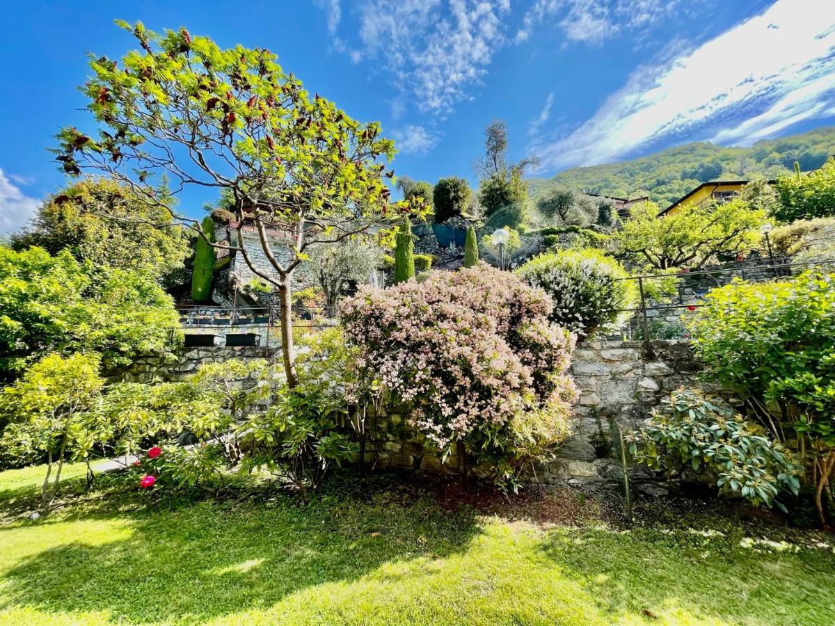 Eden Sul Lago Di Como 内索 外观 照片