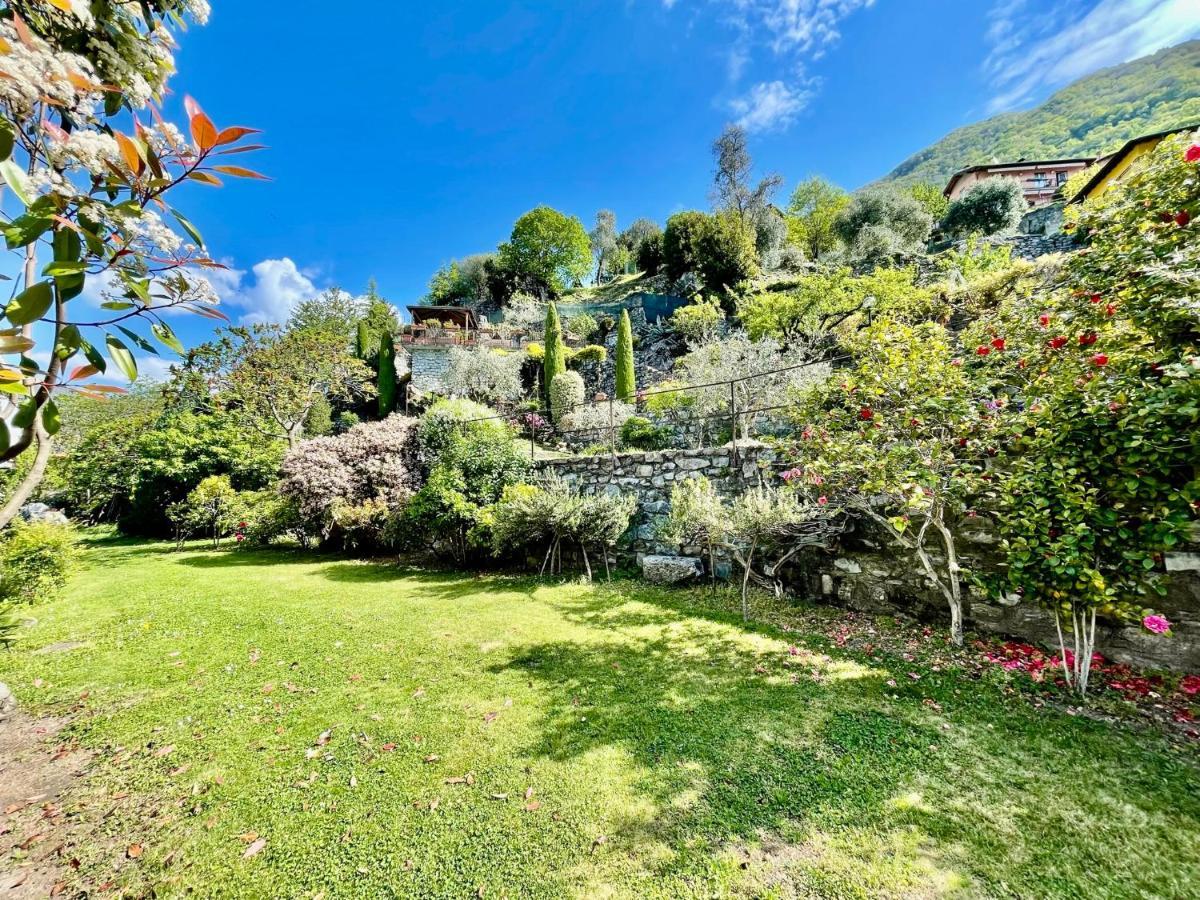 Eden Sul Lago Di Como 内索 外观 照片